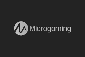 2024 میں Microgaming کے ساتھ بہترین 10 نیا کیسینو